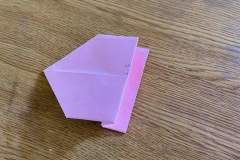 Origami-5°